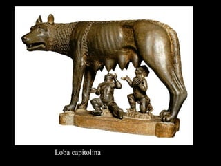 Loba capitolina
 