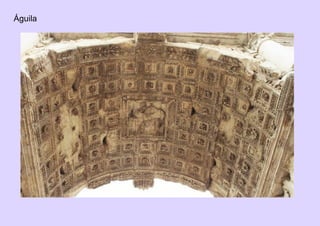 Águila
 