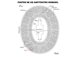 PARTES DE UN ANFITEATRO ROMANO.
 