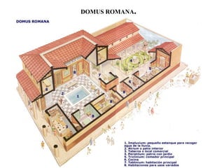 DOMUS ROMANA.
 