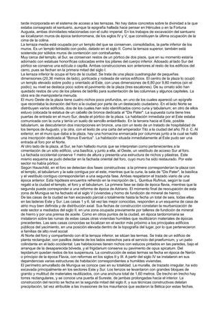 tarde incorporada en el sistema de acceso a las terrazas. No hay datos concretos sobre la divinidad a la que
estaba consagrado el santuario, aunque la epigrafía hallada hace pensar en Hércules o en la Fortuna
Augusta, ambas divinidades relacionadas con el culto imperial. En los trabajos de excavación del santuario
se localizaron muros de época tardorromana, de los siglos IV y V, que constituyen la última ocupación de la
cima de la colina.
La terraza media está ocupada por un templo del que se conservan, consolidados, la parte inferior de los
muros. Es un templo tetrástilo con podio, datado en el siglo II. Como la terraza superior, también está
sostenida por sólidos muros de contención con contrafuertes.
Muy cerca del templo, al Sur, se conservan restos de un pórtico de dos pisos, que en su momento estaría
adornado con estatuas honoríficas colocadas entre los pilares del cuerpo inferior. Adosado al lado Sur del
pórtico se conserva una edícula o capilla. Ambas construcciones son anteriores al resto de los edificios del
cerro, pues se fechan en la primera mitad del siglo I.
La terraza inferior la ocupa el foro de la ciudad. Se trata de una plaza cuadrangular de pequeñas
dimensiones (20,36 metros de lado), porticada y rodeada de varios edificios. El centro de la plaza lo ocupó
un templo elevado sobre podio y orientado al Este, con unas dimensiones de 6,80 por 9,80 metros (sin el
podio); su nivel se destaca poco sobre el pavimento de la plaza (tres escalones). De su ornato sólo han
quedado restos de uno de los pilares de ladrillo para sustentación de las columnas y algunos capiteles. La
obra era de mampostería menuda.
El muro Oeste de la plaza tiene cuatro nichos poco profundos, en uno de los cuales apareció un epígrafe
que recordaba la donación del foro a la ciudad por parte de un destacado ciudadano. En el lado Norte se
distribuyen varios edificios, dos de los cuales han sido identificados como curia y tabularium; en otro de ellos
estuvo colocada la estatua de un caballo de bronce dedicada al "Dis Pater". La supuesta curia tiene tres
puertas de entrada en el muro Sur, desde el pórtico de la plaza. La habitación inmediata por el Este estaba
comunicada con la curia y tenía un suelo de sencillo enladrillado. En la tercera hacia el Este, posible
tabularium, se descubrieron dos inscripciones en bronce, una con un texto de un tratado de hospitalidad de
los tiempos de Augusto, y la otra, con el texto de una carta del emperador Tito a la ciudad del año 79 d. C. Al
exterior, en el muro que daba a la plaza, hay una hornacina enmarcada por columnas junto a la cual se halló
una inscripción dedicada al "Bonus Eventus". La habitación situada inmediatamente al Este pudo ser una
entrada al foro por el Norte.
Al otro lado de la plaza, al Sur, se han hallado muros que se interpretan como pertenecientes a la
cimentación de un sólo edificio, una basílica, y junto a ella, al Oeste, un vestíbulo de acceso Sur al foro.
La fachada occidental conserva 1 metro de altura y presenta una estructura de nichos y pilastras. Este
mismo esquema se pudo detectar en la fachada oriental del foro, cuyo muro ha sido restaurado. Por este
sector no había pórtico.
Según Hauschild, en el foro se detectan dos fases constructivas: a la primera corresponderían la plaza con
el templo, el tabularium y la sala contigua por el este, mientras que la curia, la sala de "Dis Pater", la basílica
y el vestíbulo contiguo corresponderían a una segunda fase. Ambas respetaron el trazado viario de una
época anterior. Esta hipótesis encuentra refrendo en la inscripción de L. Quintius Rufinus, según la cual
regaló a la ciudad el templo, el foro y el tabularium. La primera fase se data de época flavia, mientras que la
segunda puede corresponder a una reforma de época de Adriano. El momento final de reocupación de esta
zona de Munigua se ha fechado el el siglo V (viviendas y horno de fundición de mineral de hierro).
De las casas de la ciudad se han excavado parcial o totalmente hasta la fecha un total de seis, todas ellas
en las laderas Este y Sur. Las casas 1 y 6, tal vez las mejor conocidas, responden a un esquema de casa de
atrio muy bien definida y de distribución axial. Sus fechas de construcción constatan la reurbanización de
este sector a mediados del siglo II, en una zona ocupada previamente por talleres de fundición de mineral
de hierro y por una prensa de aceite. Como en otros puntos de la ciudad, en época tardorromana se
instalaron sobre las ruinas de estas casas otras viviendas humildes que reutilizaron materiales de épocas
precedentes. Las seis casas conocidas se localizan en el sector más próximo a los principales edificios
públicos del yacimiento, en una posición elevada dentro de la topografía del lugar, por lo que pertenecieron
a familias de alto nivel social.
Al Norte del foro y compartiendo con él la terraza inferior, se sitúan las termas. Se trata de un edificio de
planta rectangular, con pasillos delante de los lados estrechos para el servicio del praefurnium, y un patio
colindante en el lado occidental. Las habitaciones tienen nichos con estucos pintados en las paredes, bajo el
arranque de la desaparecida bóveda, y el frigidarium conserva su pavimento de opus spicatum. Del
tepidarium quedan restos de los suspensura. La construcción de estas termas se fecha en época de Nerón
o principio de la época Flavia, con reformas en los siglos II y III. A partir del siglo IV se instalaron en sus
dependencias varias estructuras de habitación correspondientes a humildes viviendas.
El perímetro amurallado de Munigua se conoce casi en su totalidad. La muralla, de trazado irregular, ha sido
excavada principalmente en los sectores Este y Sur. Los lienzos se levantaron con grandes bloques de
granito y multitud de materiales reutilizados, con una anchura total de 1,60 metros. De trecho en trecho hay
torres rectangulares, y se conoce una puerta al Sureste, de jambas prolongadas hacia el interior. La
construcción del recinto se fecha en la segunda mitad del siglo II, y sus técnicas constructivas delatan
precipitación, tal vez atribuible a las invasiones de los mauritanos que asolaron la Bética por estas fechas.
 