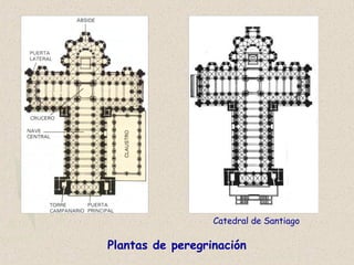 Plantas de peregrinación
Catedral de Santiago
 