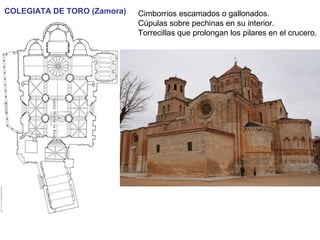 COLEGIATA DE TORO (Zamora) Cimborrios escamados o gallonados.
Cúpulas sobre pechinas en su interior.
Torrecillas que prolongan los pilares en el crucero.
 