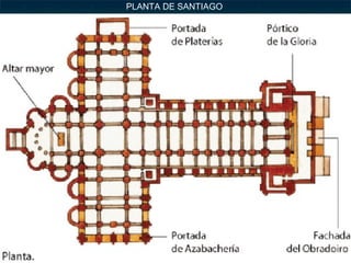 PLANTA DE SANTIAGO

 
