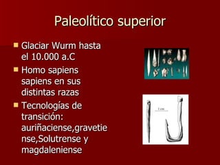 Paleolítico superior Glaciar Wurm hasta el 10.000 a.C Homo sapiens sapiens en sus distintas razas Tecnologías de transición: auriñaciense,gravetiense,Solutrense y magdaleniense 