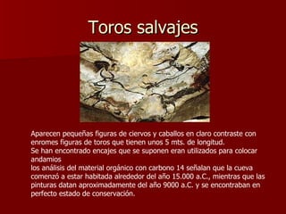 Toros salvajes Aparecen pequeñas figuras de ciervos y caballos en claro contraste con enromes figuras de toros que tienen unos 5 mts. de longitud.  Se han encontrado encajes que se suponen eran utilizados para colocar andamios los análisis del material orgánico con carbono 14 señalan que la cueva comenzó a estar habitada alrededor del año 15.000 a.C., mientras que las pinturas datan aproximadamente del año 9000 a.C. y se encontraban en perfecto estado de conservación. 