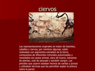 ciervos Las representaciones originales se traten de bisontes, caballos y ciervos, por nombrar algunas, están realizadas con pigmentos extraídos de la tierra, compuestos de diferentes minerales pulverizados y mezclados con grasa animal, clara de huevo, extractos de plantas, cola de pescado y también sangre. Los pinceles que usaron estaban hechos de varitas y juncos y utilizaban técnicas que les permitían soplar la pintura sobre la pared. 
