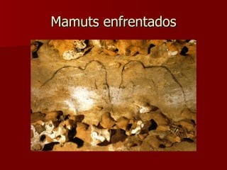 Mamuts enfrentados 