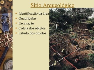 Sítio Arqueológico Identificação da área Quadrículas Escavação Coleta dos objetos Estudo dos objetos 