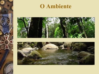 O Ambiente 