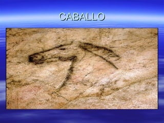 CABALLO