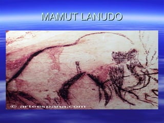 MAMUT LANUDO 