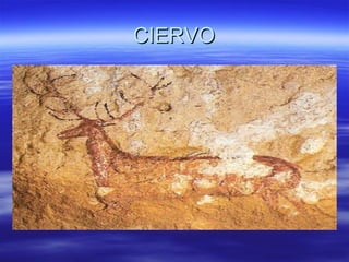 CIERVO 