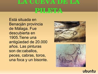LA CUEVA DE LA
PILETA
Está situada en
Benaoján provincia
de Málaga. Fue
descubierta en
1905.Tiene una
antigüedad de 20.000
años. Las pinturas
son de:caballos,
peces, cabras, toros,
una foca y un bisonte.