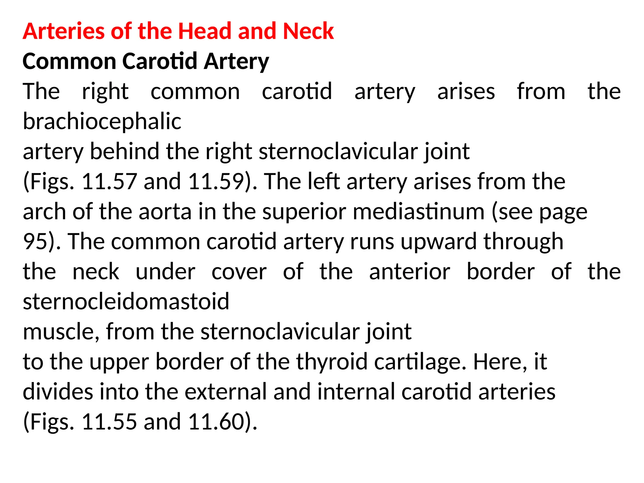 Anatomy of arterial supply of head and neck ppt | PPT