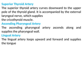 Anatomy of arterial supply of head and neck ppt | PPTX