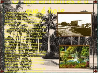 O  que era antes e o que é hoje  Conhecida popularmente como praça da Polícia, a praça de Heliodoro Balbi era um pedaço de chão que parecia destinado a recolhimento e passeio da população, um imenso descampado.       Oficiais ou não. Largo do Liceu, Largo do Palacete, Largo 28 de setembro, Praça da Constituição, Praça Gonçalves Ledo, Praça Roossevelt, Praça João Pessoa. Cada nome tinha uma razão histórica.Sua construção e ajardinamento foi determinada em 1906, sendo prefeito de Manaus o coronel e comandante da Policia Militar, Adolpho Guilherme de Miranda Lisboa, situa-se entre as ruas de José Paranaguá, dr Moreira, Guilherme Moreira e avenida Sete de Setembro, tendo ocupado inicialmente uma área de 6.600 metros quadrados.  Em meados dos anos 80 do século 20, a praça sofreu uma reforma radical, pretendendo devolver-lhe a sua antiga feição, mas a instalação de novos elementos e os deslocamentos de outros sugerem que a reforma não tenha sido baseada em fatos históricos. Contudo foi louvável a recuperação do coreto de ferro localizado na praça, o qual atualmente já solicita reparos. 