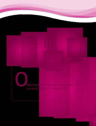 III.


O
RIENTACIONES PARA LA PLANEACIÓN,
LA DIDÁCTICA Y LA EVALUACIÓN
 