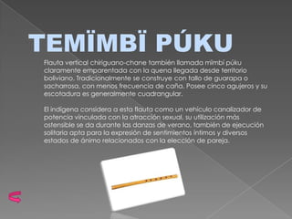 TEMÏMBÏ PÚKU
Flauta vertical chiriguano-chane también llamada mïmbí púku
claramente emparentada con la quena llegada desde territorio
boliviano. Tradicionalmente se construye con tallo de guarapa o
sacharrosa, con menos frecuencia de caña. Posee cinco agujeros y su
escotadura es generalmente cuadrangular.

El indígena considera a esta flauta como un vehículo canalizador de
potencia vinculada con la atracción sexual, su utilización más
ostensible se da durante las danzas de verano, también de ejecución
solitaria apta para la expresión de sentimientos íntimos y diversos
estados de ánimo relacionados con la elección de pareja.
 