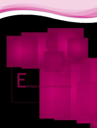 I.


E
NFOQUE DEL CAMPO DE FORMACIÓN
 