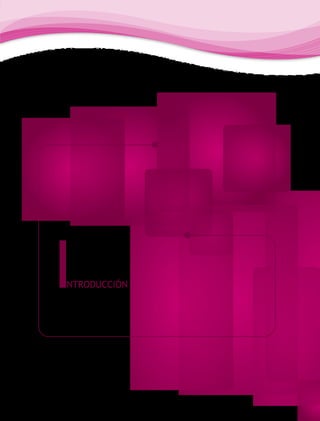 I
NTRODUCCIÓN
 