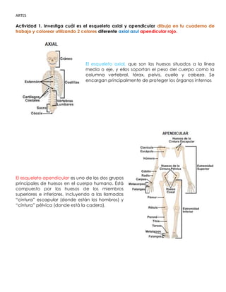 ARTES
Actividad 1. Investiga cuál es el esqueleto axial y apendicular dibuja en tu cuaderno de
trabajo y colorear utilizando 2 colores diferente axial azul apendicular rojo.
El esqueleto axial, que son los huesos situados a la línea
media o eje, y ellos soportan el peso del cuerpo como la
columna vertebral, tórax, pelvis, cuello y cabeza. Se
encargan principalmente de proteger los órganos internos
El esqueleto apendicular es uno de los dos grupos
principales de huesos en el cuerpo humano. Está
compuesto por los huesos de los miembros
superiores e inferiores, incluyendo a las llamadas
“cintura” escapular (donde están los hombros) y
“cintura” pélvica (donde está la cadera).
 