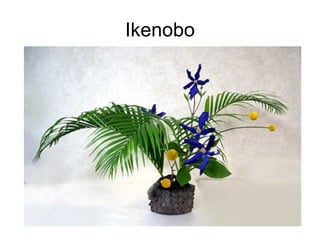 Ikenobo 
