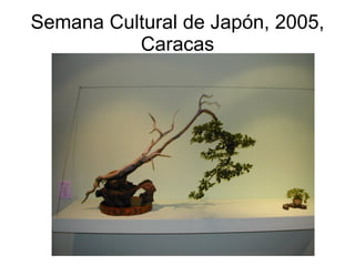 Semana Cultural de Japón, 2005, Caracas 