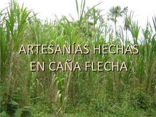 ARTESANÍAS HECHAS
 EN CAÑA FLECHA
 