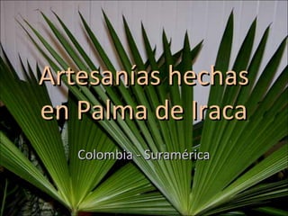 Artesanías hechas
en Palma de Iraca
   Colombia - Suramérica
 