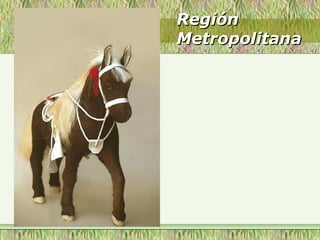 RegiónRegión
MetropolitanaMetropolitana
 