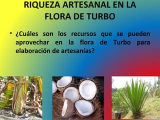 RIQUEZA ARTESANAL EN LA 
FLORA DE TURBO 
• ¿Cuáles son los recursos que se pueden 
aprovechar en la flora de Turbo para 
elaboración de artesanías? 
 