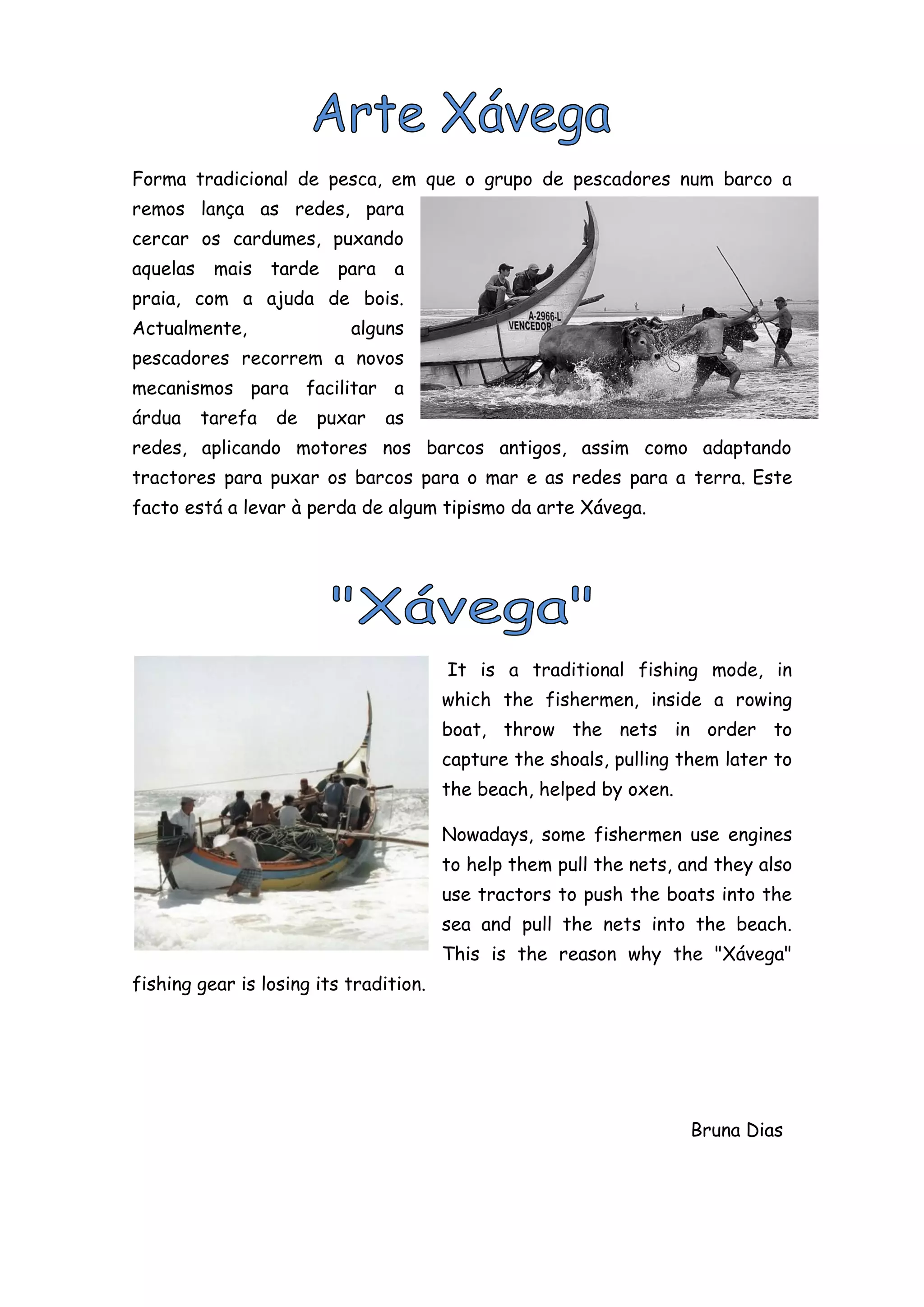 Forma tradicional de pesca, em que o grupo de pescadores num barco a
remos lança as redes, para
cercar os cardumes, puxando
aquelas    mais    tarde   para   a
praia, com a ajuda de bois.
Actualmente,                alguns
pescadores recorrem a novos
mecanismos para facilitar a
árdua     tarefa   de   puxar     as
redes, aplicando motores nos barcos antigos, assim como adaptando
tractores para puxar os barcos para o mar e as redes para a terra. Este
facto está a levar à perda de algum tipismo da arte Xávega.




                                        It is a traditional fishing mode, in
                                        which the fishermen, inside a rowing
                                        boat, throw the nets in order to
                                        capture the shoals, pulling them later to
                                        the beach, helped by oxen.

                                        Nowadays, some fishermen use engines
                                        to help them pull the nets, and they also
                                        use tractors to push the boats into the
                                        sea and pull the nets into the beach.
                                        This is the reason why the "Xávega"
fishing gear is losing its tradition.




                                                                     Bruna Dias
 