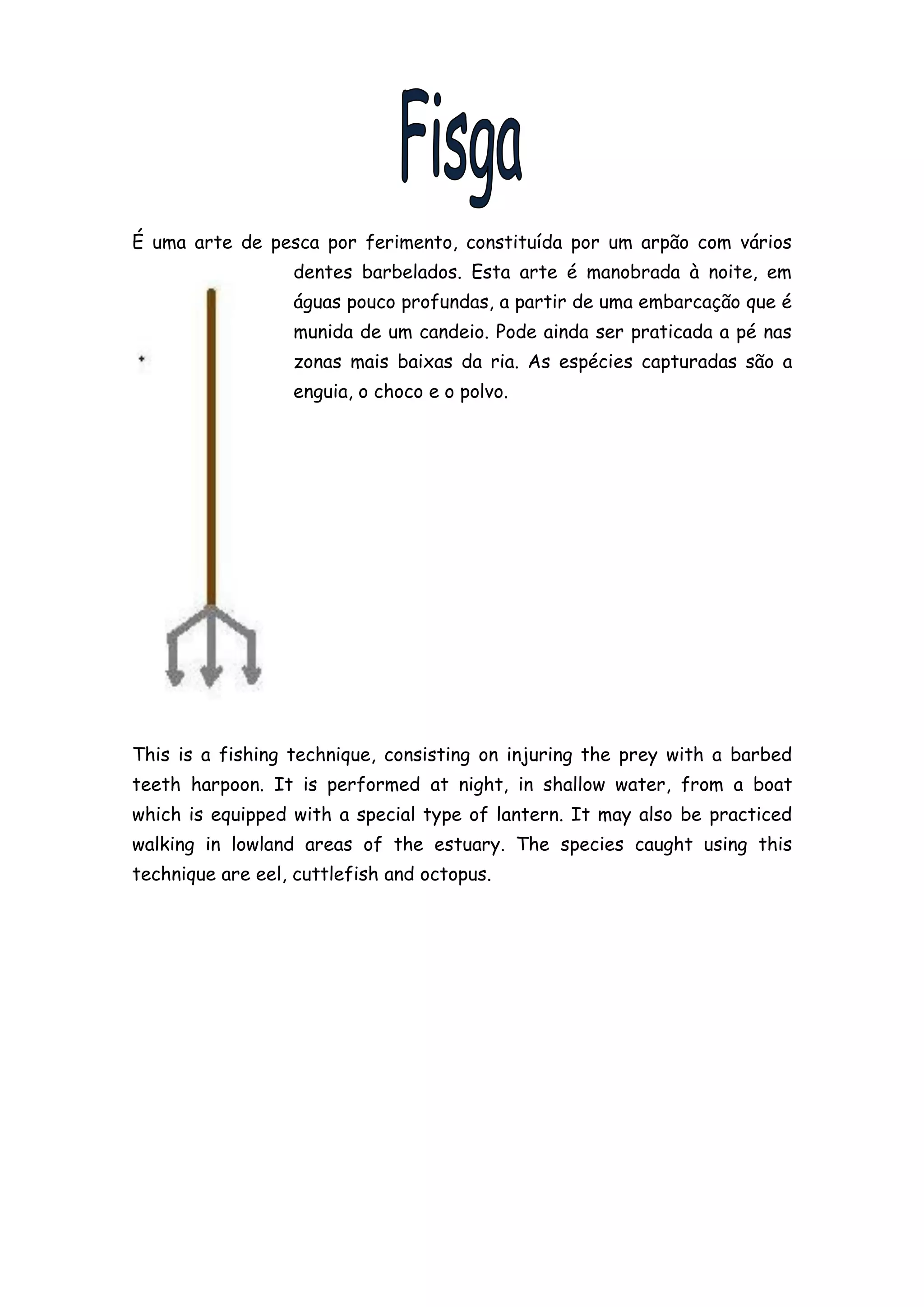 É uma arte de pesca por ferimento, constituída por um arpão com vários
                  dentes barbelados. Esta arte é manobrada à noite, em
                  águas pouco profundas, a partir de uma embarcação que é
                  munida de um candeio. Pode ainda ser praticada a pé nas
                  zonas mais baixas da ria. As espécies capturadas são a
                  enguia, o choco e o polvo.




This is a fishing technique, consisting on injuring the prey with a barbed
teeth harpoon. It is performed at night, in shallow water, from a boat
which is equipped with a special type of lantern. It may also be practiced
walking in lowland areas of the estuary. The species caught using this
technique are eel, cuttlefish and octopus.
 