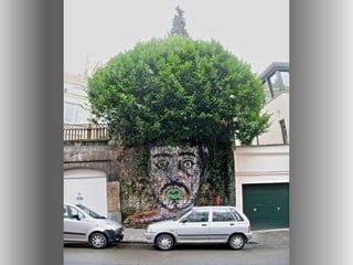 Artes em edificios e murais