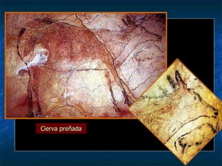 Cierva preñada 
