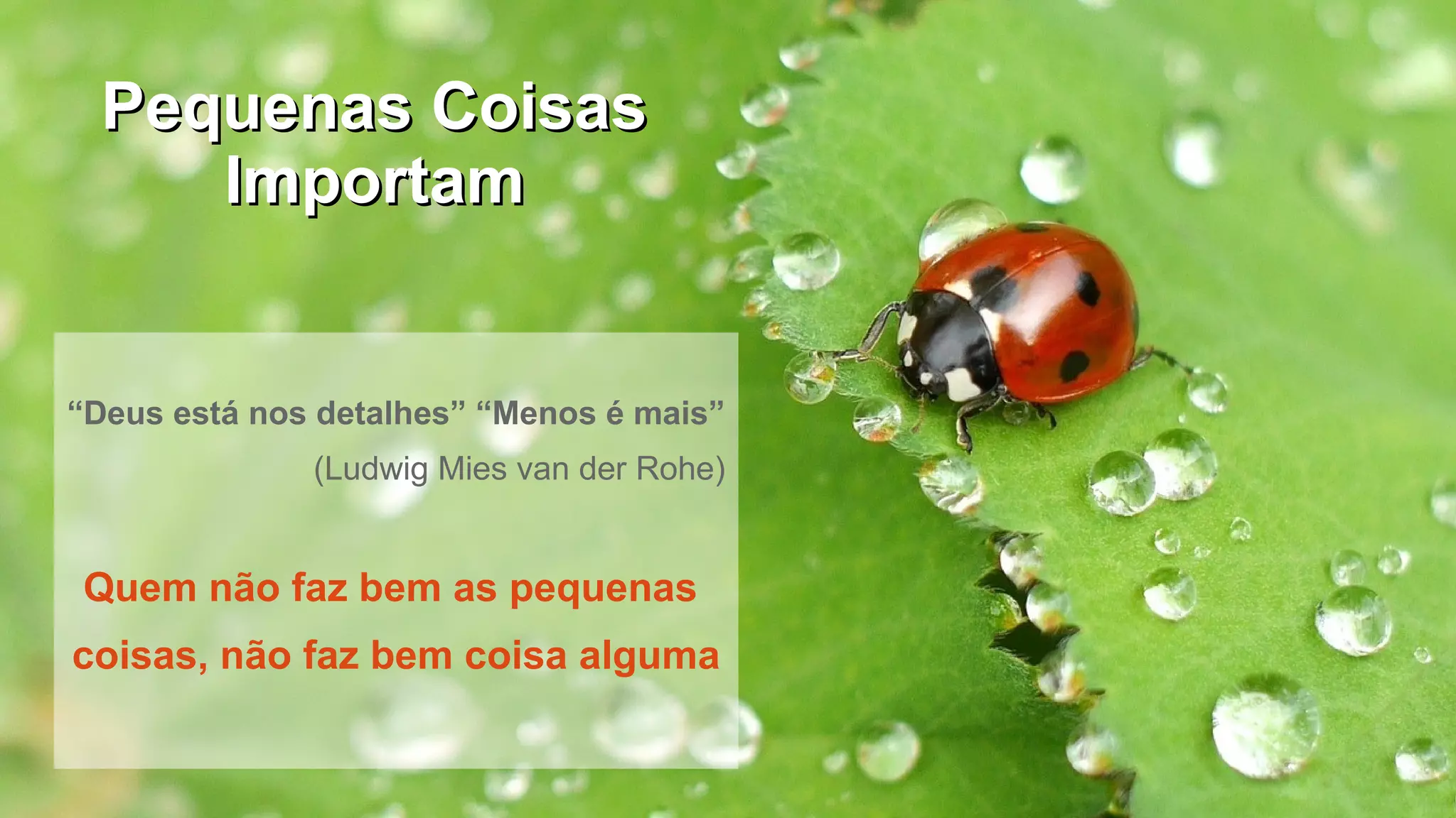 Pequenas CoisasPequenas Coisas
ImportamImportam
“Deus está nos detalhes” “Menos é mais”
(Ludwig Mies van der Rohe)
Quem não faz bem as pequenas
coisas, não faz bem coisa alguma
 