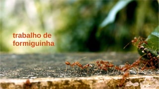 trabalho de
formiguinha
 