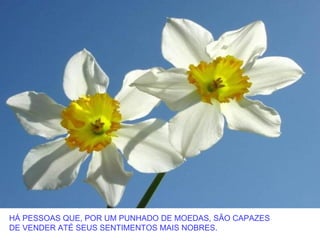 HÁ PESSOAS QUE, POR UM PUNHADO DE MOEDAS, SÃO CAPAZES
DE VENDER ATÉ SEUS SENTIMENTOS MAIS NOBRES.
 