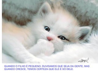 QUANDO O FILHO É PEQUENO, DUVIDAMOS QUE SEJA DA GENTE, MAS
QUANDO CRESCE, TEMOS CERTEZA QUE ELE É SÓ DELE.
 