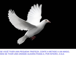 SE VOCÊ TIVER UMA PEQUENA TRISTEZA, CONTE A METADE A UM AMIGO,
MAS SE TIVER UMA GRANDE ALEGRIA PASSE-A, POR INTEIRO, A ELE.
 