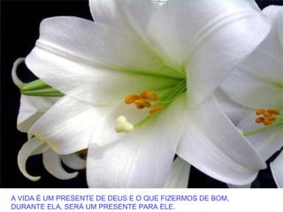 A VIDA É UM PRESENTE DE DEUS E O QUE FIZERMOS DE BOM,
DURANTE ELA, SERÁ UM PRESENTE PARA ELE.
 