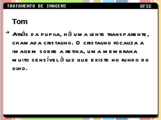 Tom Atrás da pupila, há uma lente transparente, chamada cristalino. O cristalino focaliza a imagem sobre a retina, uma membrana muito sensível à luz que existe no fundo do olho.   