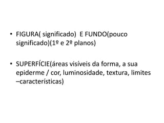 • FIGURA( significado) E FUNDO(pouco
  significado)(1º e 2º planos)

• SUPERFÍCIE(áreas visíveis da forma, a sua
  epiderme / cor, luminosidade, textura, limites
  –características)
 
