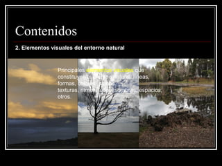 Contenidos
2. Elementos visuales del entorno natural



               Principales elementos visuales que
               constituyen el entorno natural: líneas,
               formas, colores, planos,
               texturas, ritmos, luces, sombras, espacios,
               otros.
 