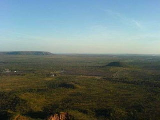 Gleidiana M. S. Lima