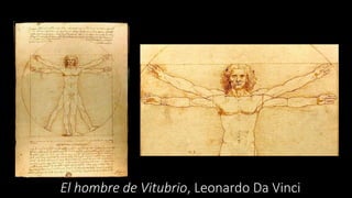 El hombre de Vitubrio, Leonardo Da Vinci
 