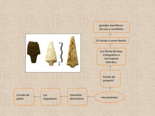 grandes mamíferos:
                                         tarucas y camélidos


                                       En lanzas o como dardos


                                         con forma de hoja,
                                           triangulares o
                                            con espinas
                                              laterales.



                                            Puntas de
                                            proyectil



Curtido de   Los          Utensilios
pieles       raspadores   domésticos      Herramientas
 