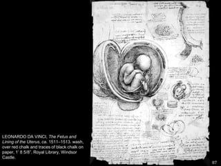 87LEONARDO DA VINCI, The Fetus and Lining of the Uterus, ca. 1511–1513. wash, over red chalk and traces of black chalk on paper, 1’ 8 5/8”. Royal Library, Windsor Castle.  