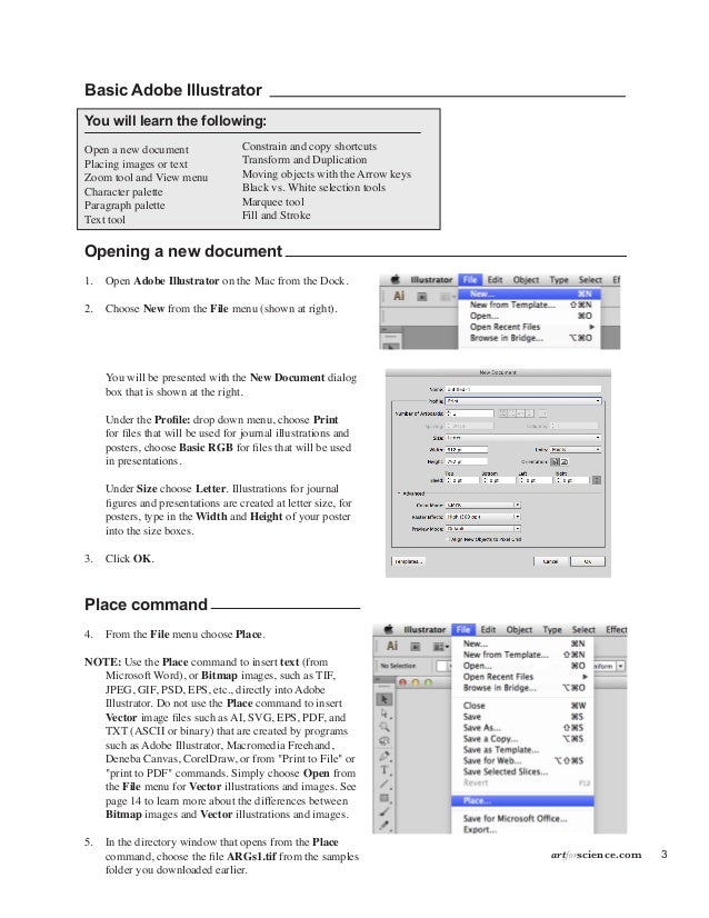 2 artforsciencecom 5 artforsciencecom 3 basic adobe illustrator